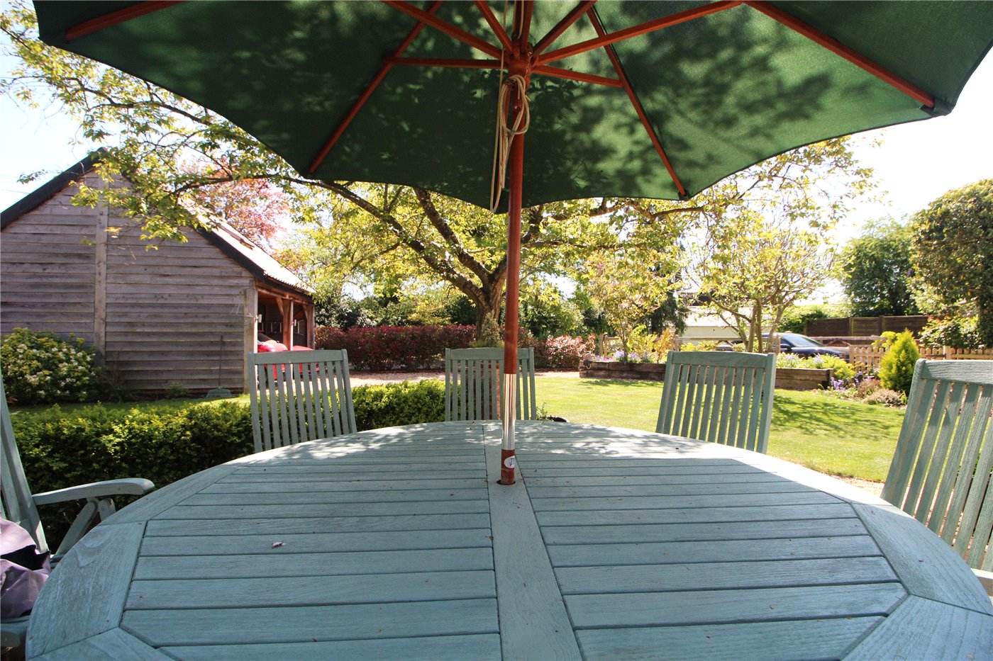 Garden